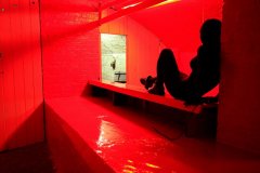 That Side Where Real Is_Red Gloss One String_8March2013_creature_web_R.jpg